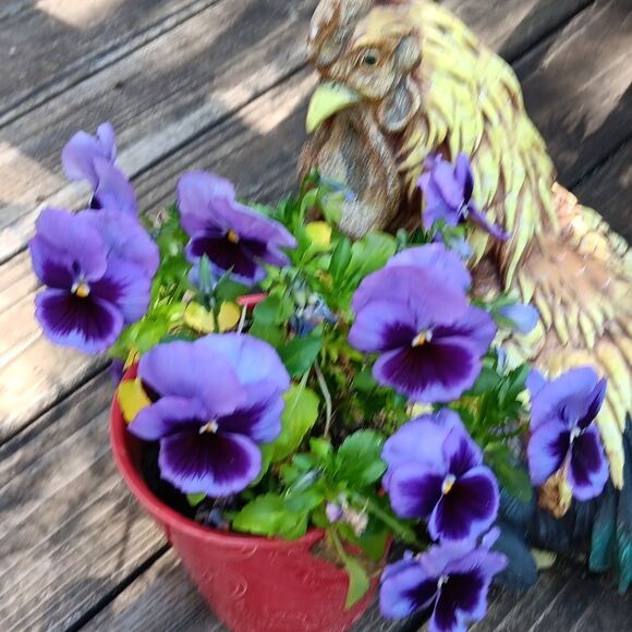 Sue Wong Very Special Evening Dress - Picture 14 of 14